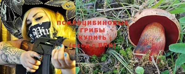 spice Переславль-Залесский