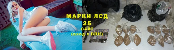 тгк Пересвет
