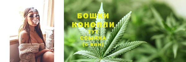 тгк Пересвет