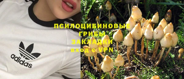 spice Переславль-Залесский