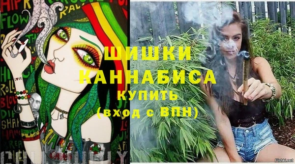 тгк Пересвет