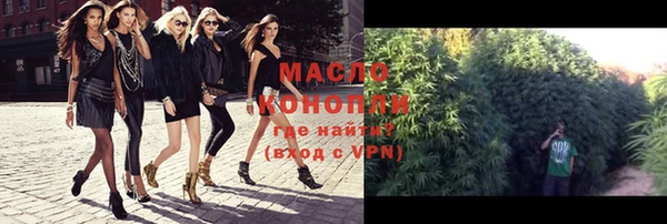 тгк Пересвет