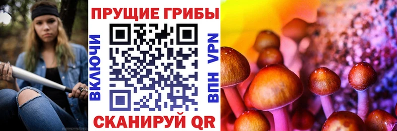 где купить наркоту  Щучье  Галлюциногенные грибы GOLDEN TEACHER 